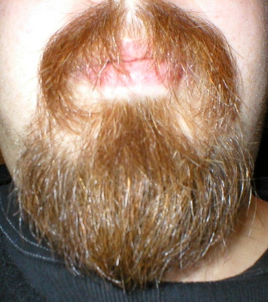 facial hair 1.jpg